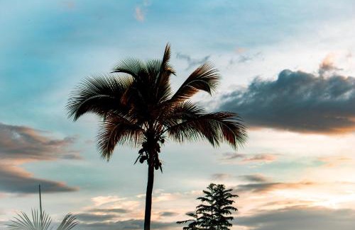 Cutucumayo House | Palms Stars III