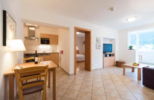 Bad Gastein Apartment | Panorama Spa Lodges DasSchiller MEDIUM