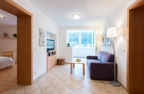 Bad Gastein Apartment | Panorama Spa Lodges DasSchiller MEDIUM