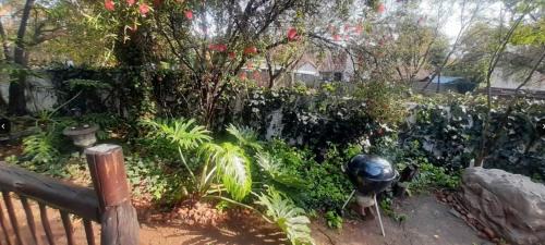 Randpark Ridge Apartment | Pantera Lodge and Spa