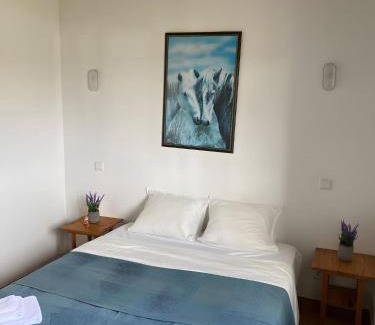 Cavaleiro House | PARAÍSO DA SERVA - Casas Courela da Serva e Flor do Rosto I e II