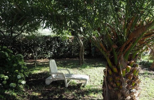 Montefiascone House | Paradaise House - Peace by Bolsena's Lake