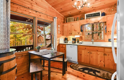 Blue Ridge Cabin | Paradise Escape: Minutes from Blue Ridge, Hot-Tub, 100+ 5-star Reviews!