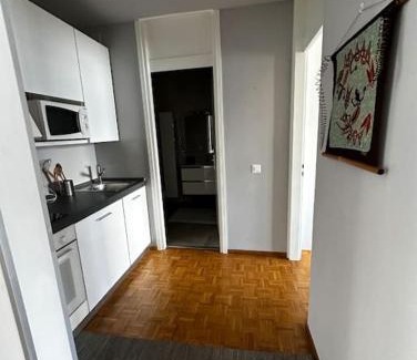 Paradiso Apartment | Paradise Lake View