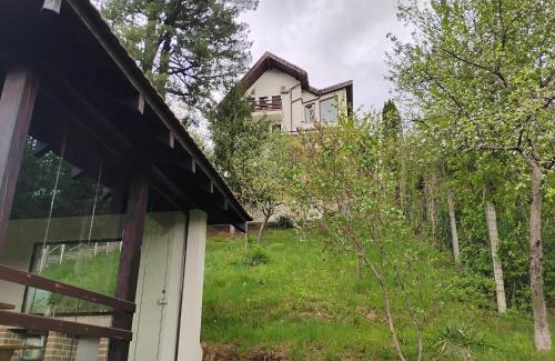 Brasov Villa | Paradise View