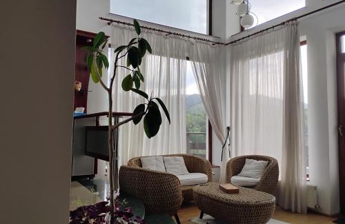 Brasov Villa | Paradise View