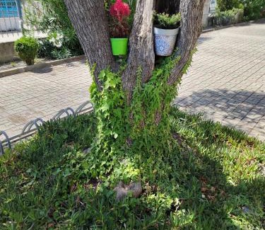 Marina di Vasto Apartment | "Paradiso Due" Vasto Marina Appartamento a due passi dal mare