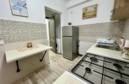 Vatra Dornei Apartment | Parc Vatra Dornei 3 - Family & couples