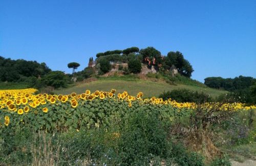 Zona XXVI Castel di Decima Bed & Breakfast | Parco delle Nazioni - Relax Grand Resort