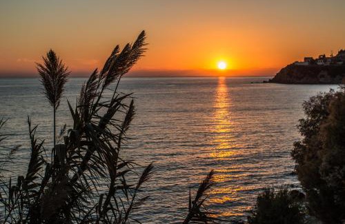 Plomari Apartment | Paris-Irini Studios And Apartments