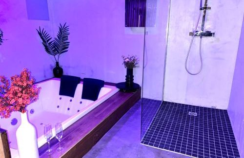 Saint-Denis Villa | Paris Luxury House, jacuzzi- jardin-parking, 10min Stade de France, 18 min des Champs Élysées