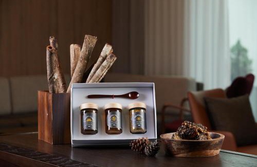 Jeongseon Hotel | PARK ROCHE Resort & Wellness