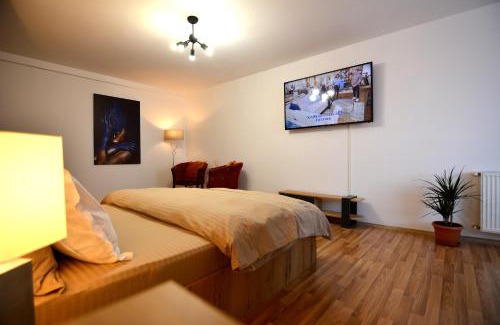 Fagaras Apartment | park32