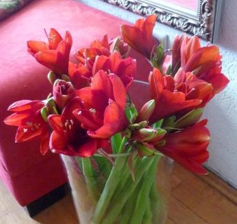 Ruettenscheid Hotel | Parkhotel Essen