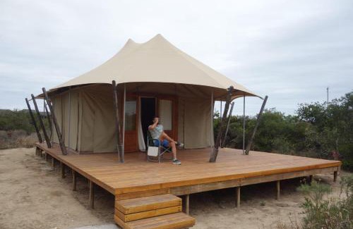 Colchester Cabin | ParkView Safari Lodge