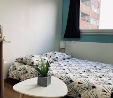 Schiltigheim Apartment | Parlementaire européen, waken schiltigheim
