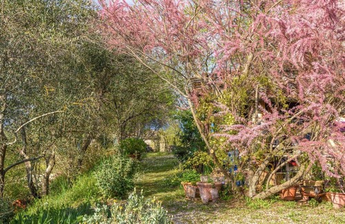 Ville di Corsano House | Parmolaina