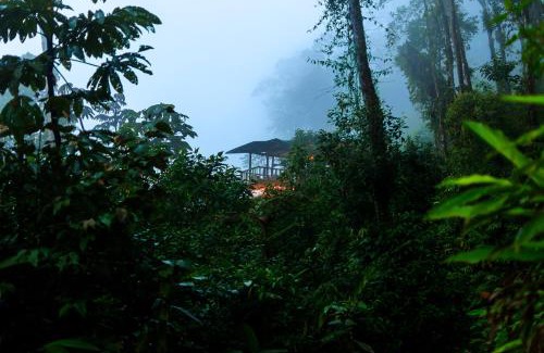 Chameza Cabin | Paseo Por Las Nubes Birding Lodge