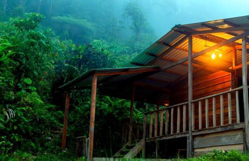 Chameza Cabin | Paseo Por Las Nubes Birding Lodge