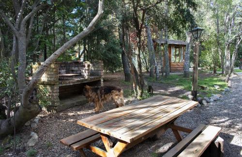 Playa Bonita Cabin | Patagonia Sin Fronteras
