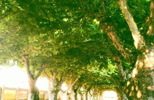 Riopar House | Patio de las Flores