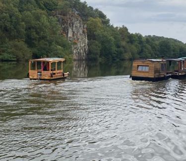 Saint-Vincent-sur-Oust Boat Rental | Patouillet bateau naviguant