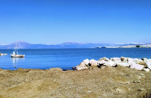 Paralia Apartment | Patras Palm Tree, ground detached house with all the household amenities.