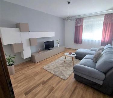 Dumbravita Apartment | Paula Apartment
