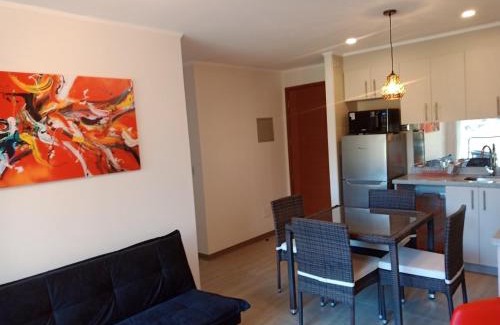 Pucon Apartment | Payllahue 301 Pucon
