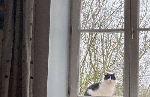 Clomot House | Peace and nature between Auxois and Morvan