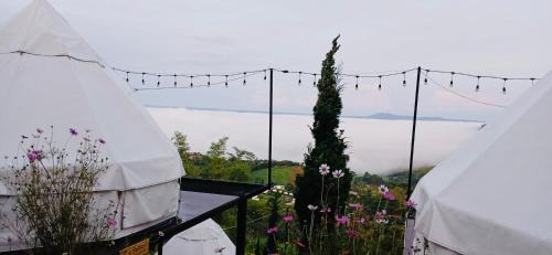Khao Kho Other | Peace Zone เขาค้อ