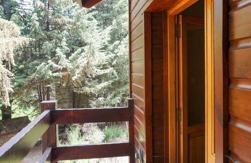 Lanin National Park Cabin | Peaceful and quiet cabin among trees