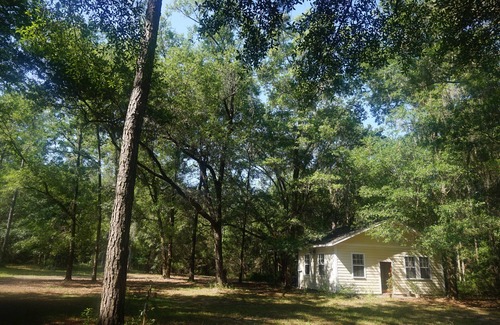 Alachua Cottage | Peaceful Cottage in Alachua Florida