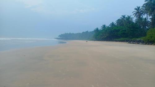 Kannur House | Peaceful Homestay near Kizhunna Beach