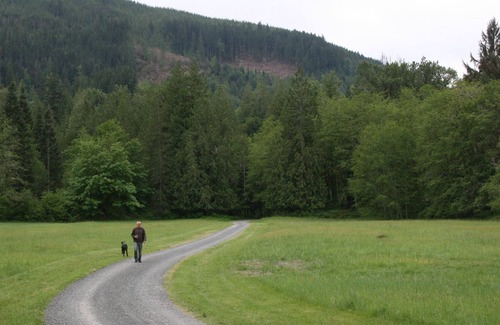 Acme House | Peaceful, Private Woodland Retreat Suitable for Events