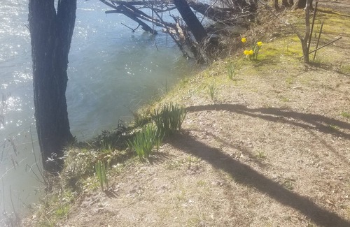 Franklin Cabin | Peaceful Treasure 2-bedroom Riverfront Cabin in Franklin NC