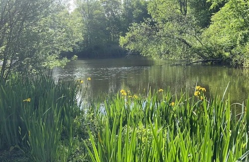 Redding Ridge House | Peaceful Vintage Home with Private Lake in Redding, CT.