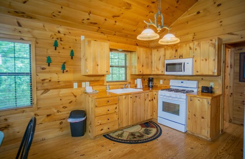 Helen Cabin | Peaceful wooded setting - Short Walk to Downtown! New Hot Tub and Roku tv.