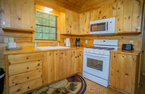 Helen Cabin | Peaceful wooded setting - Short Walk to Downtown! New Hot Tub and Roku tv.