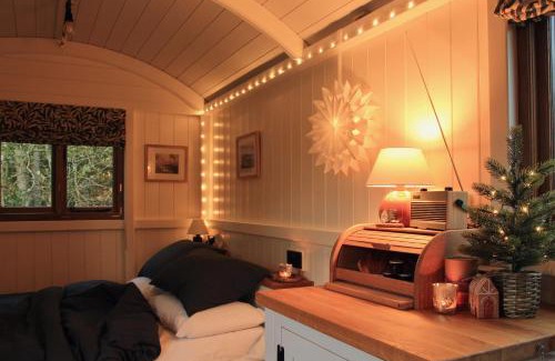 Ballymoney Bed & Breakfast | Peatlands