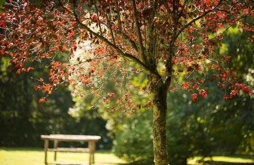 Cuntis House | Pedreiras Cottage Rias Baixas