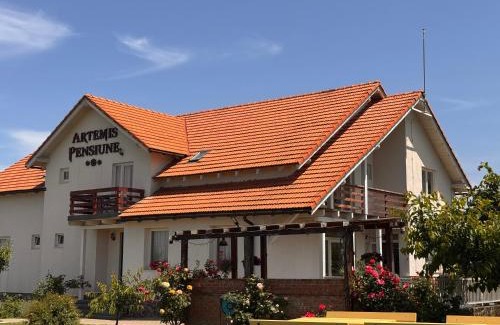 Cristian House | Pensiunea Artemis