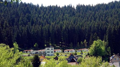 Manebach House | Pension Am Waldesrand