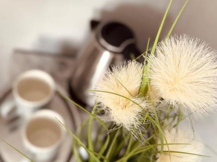 Gartnerplatz House | Pension Casa Tempora