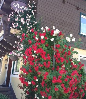 Lungoetz House | Pension Haus Rohrmoser