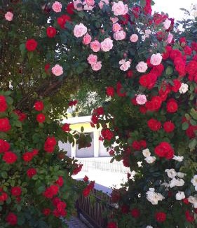 Lungoetz House | Pension Haus Rohrmoser