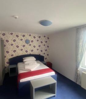 Lazaret House | Pension La Viorel Isaila