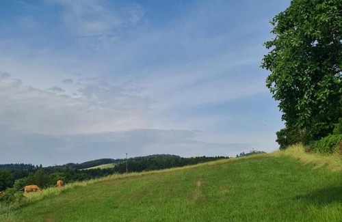 Drees House | Pensionszimmer Larifari