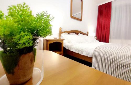 Baia Mare Apartment | Pensiune Forest Park