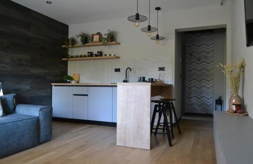 Avrig Bed & Breakfast | Pensiunea Amonte